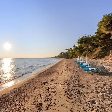 Four Seasons - The White Queen House