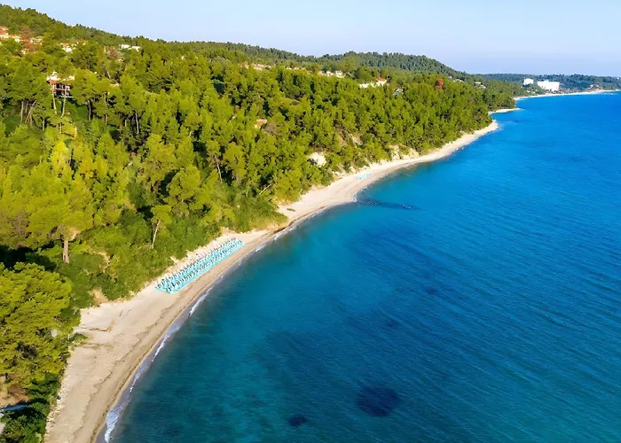 Four Seasons - The White Queen House 度假居