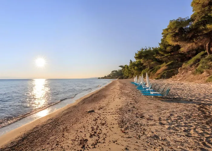 Four Seasons - The White Queen House